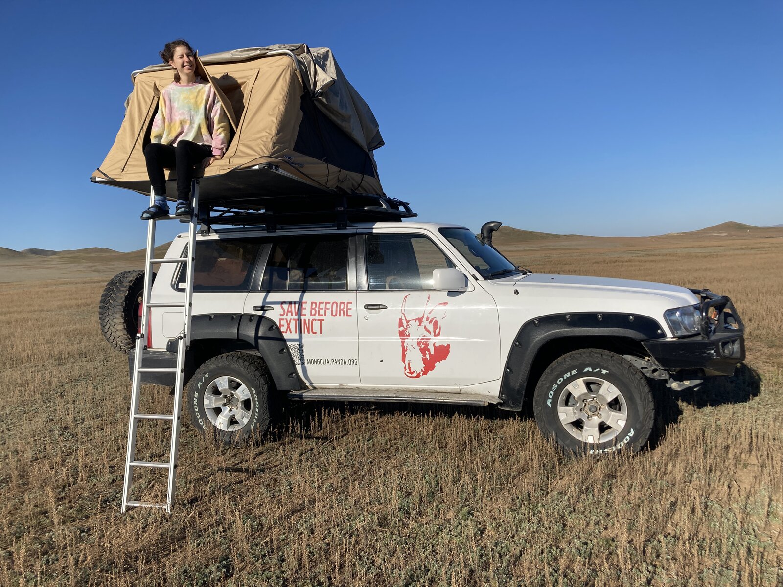 Convoy of 4x4 vehicles driving through vast Mongolian desert terrain